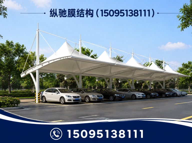 坊子区膜结构车棚展示图